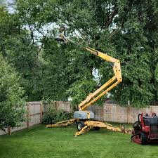 Best Lawn Maintenance Plans  in Tracyton, WA
