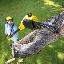 Best Seasonal Cleanup (Spring/Fall)  in Tracyton, WA