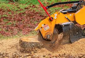 Best Lawn Disease Treatment  in Tracyton, WA