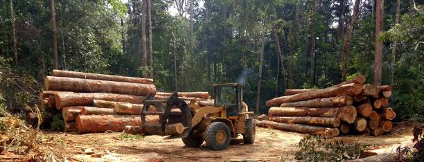 Best Aeration Services  in Tracyton, WA